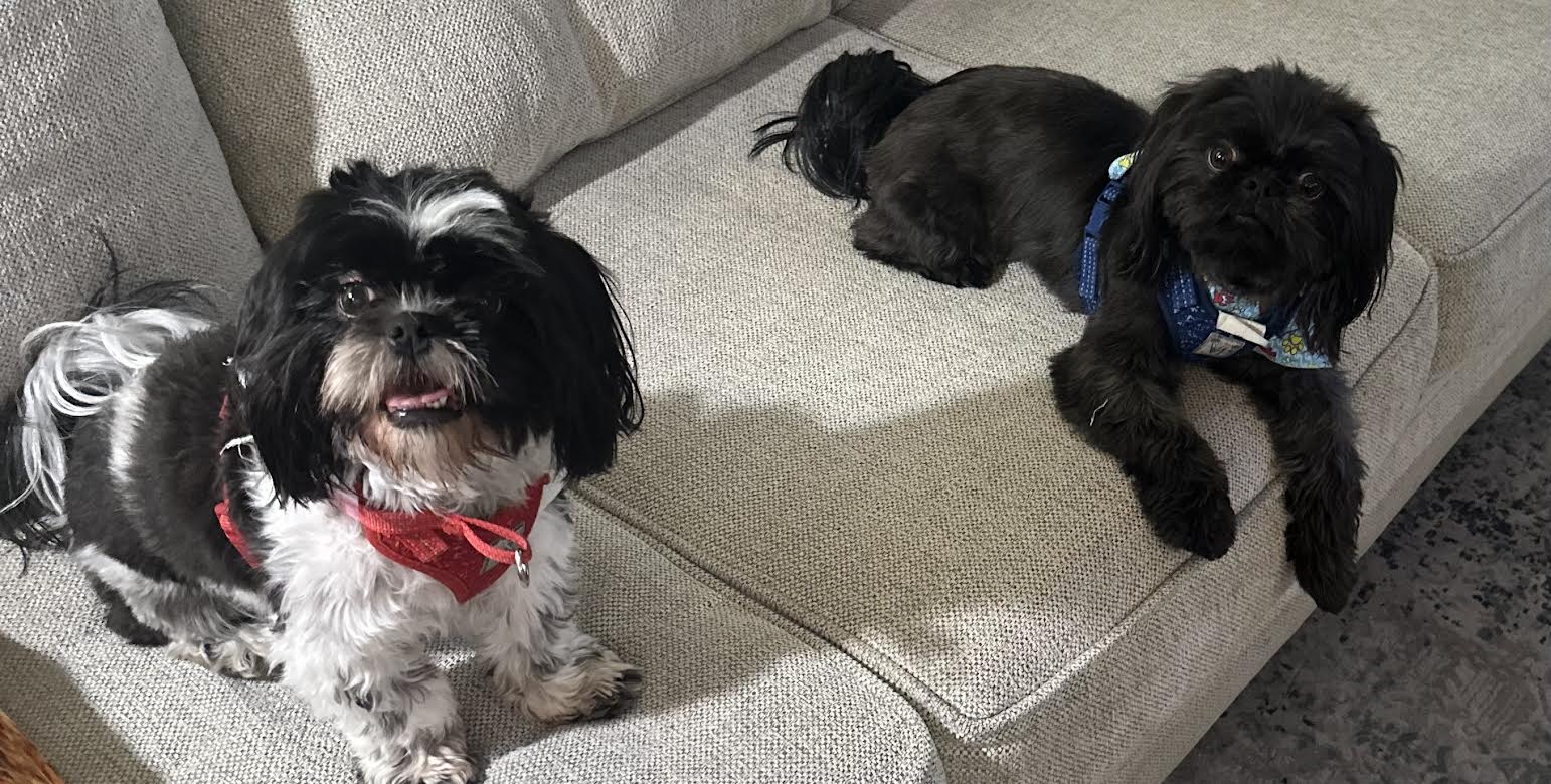 Darth and Dolly on couch